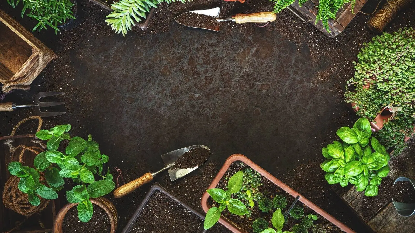 untitled design 57 1.jpg