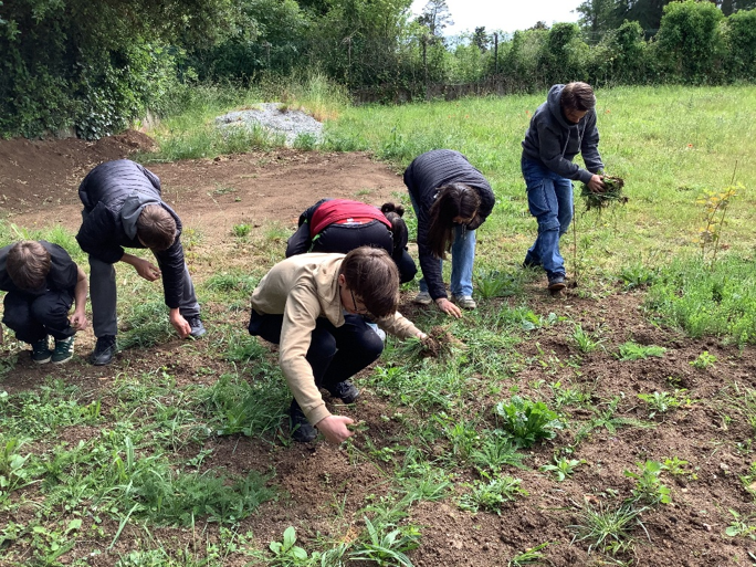 Europen Heritage Project