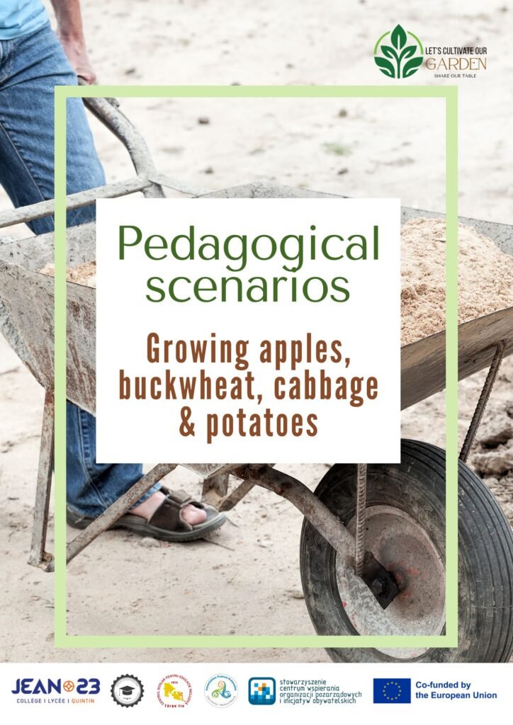 Pedagogical Scenarios Apples, buckwheat, cabbage & potatoes